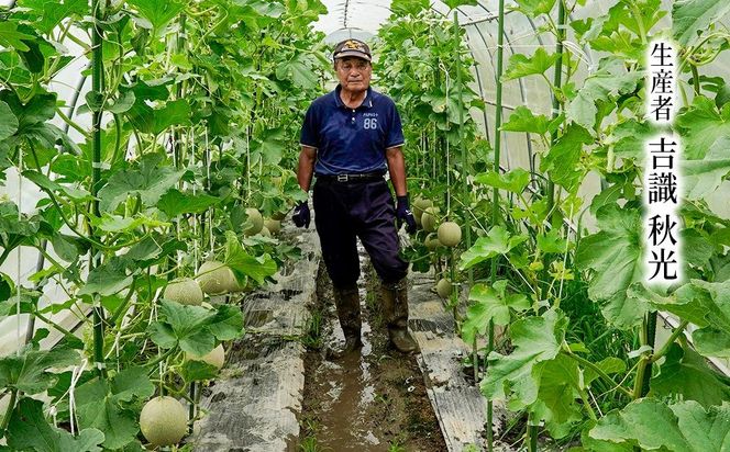 マスクメロン「パノン」 農薬不使用栽培 贈答用 化粧箱入り お届け：７月下旬～９月上旬