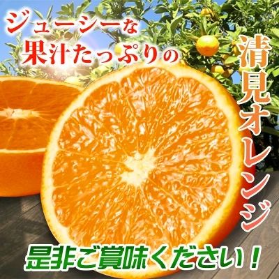 G7329_【2027年先行予約】紀州有田産 清見 オレンジ 5kg【家庭用 訳あり】タンゴール みかん 柑橘 フルーツ 果物 デザート 果実 お取り寄せ 和歌山県 湯浅町 有田 送料無料