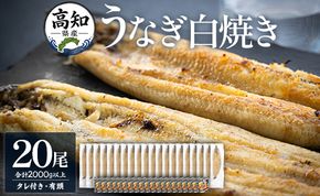 【数量限定】うなぎ 白焼き 2kg以上 20尾×100～120g - 蒲焼き タレ付き 国産 鰻 ウナギ 有頭 背開き つまみ ご飯のお供 老舗 土佐湾 吉川水産 高知県 香南市 冷凍 yw-0083