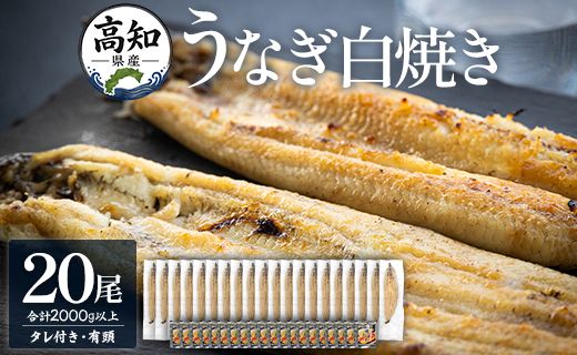 【数量限定】うなぎ 白焼き 2kg以上 20尾×100～120g - 蒲焼き タレ付き 国産 鰻 ウナギ 有頭 背開き つまみ ご飯のお供 老舗 土佐湾 吉川水産 高知県 香南市 冷凍 yw-0083