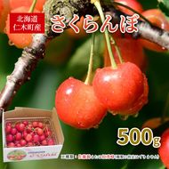 先行受付 北海道 仁木町産 さくらんぼ 500g 佐藤錦または紅秀峰 果樹 サクランボ チェリー フルーツ 果物 果物類 ギフト 仁木町 仁木 [くくり農園]