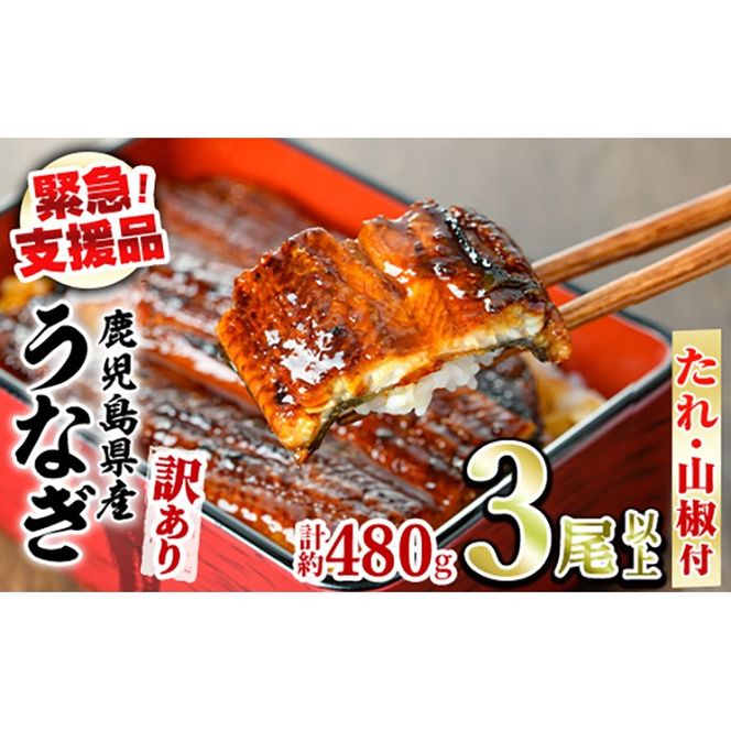 【0134367a】【緊急支援品】＜訳あり＞鰻の蒲焼き(無頭)(3尾以上・計約480g・タレ、山椒付) うなぎ ウナギ 鰻 国産 蒲焼 蒲焼き たれ 鹿児島 ふるさと 人気 支援 【アクアおおすみ】