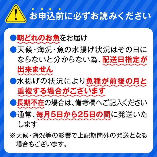 【12ヶ月定期便】大和海商　大和のこだわり漁師のお刺身　4人前 N072-G0143_1