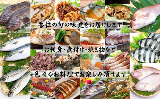 【兵庫県香住産 香住の朝獲れ地魚セット 期間限定 新鮮 鮮魚 4～5種類詰め合わせ（1.5kg～2kg程度） 冷蔵】旬の鮮魚 内蔵処理可 期間限定 ふるさと納税 お刺身 煮魚 焼魚 フライ 詰め合わせ セット 兵庫県 香美町 香住 宿院商店 33-11