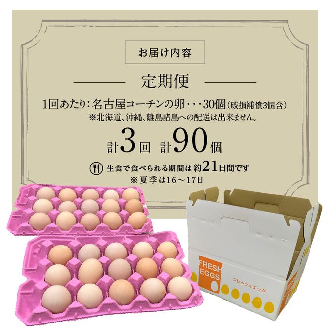 【3ヶ月定期便】名古屋コーチン卵(30個入り)×3回（計90個） [006K01-T]