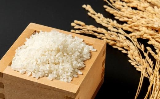 【令和7年産米】牛とつくったお米 食べ比べセット「IWAFUNE」計6kg（新潟県岩船産コシヒカリ・新之助・こしいぶき各2kg）1041004