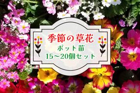 季節の草花 詰め合わせ｜花苗 ポット苗 宿根草 多年草 一年草 園芸 ガーデニング [0133]