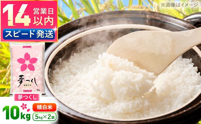 夢つくし精米10kg　《築上町》【酒見食品工業株式会社】 米 こめ 白米[ABER002]
