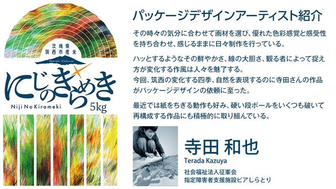 【 定期便 3ヶ月 】 茨城県 筑西市産 にじのきらめき 10kg ( 障がい者アート パッケージ ) ( 5kg × 2袋 ) 令和6年産 精米 米 お米 コメ 白米 茨城県 筑西市 三ツ星 マイスター [CH024ci]