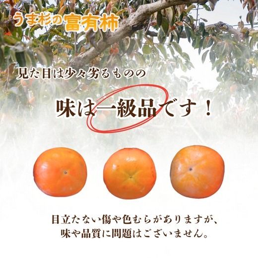 うま杉の富有柿 10kg L ※2025年11月中旬～12月中旬頃に順次発送予定