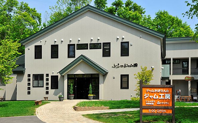 ◆ふらの ジャム園◆冷凍 ハスカップ 4袋セット (果物 フルーツ 冷凍食品 新鮮 産地直送 北海道 送料無料 道産 富良野 ふらの 人気)