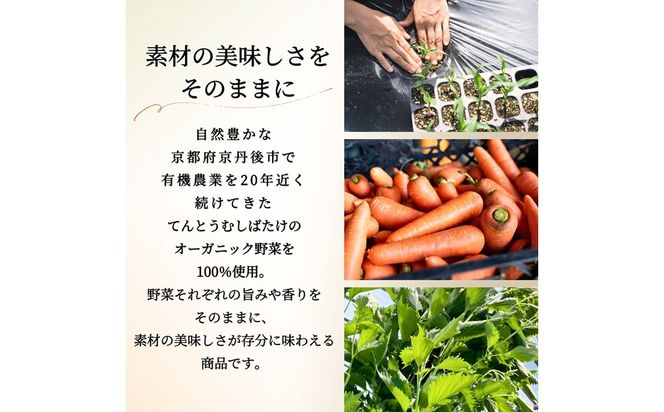 季節のオーガニック野菜ドレッシング2本セット　BR00076