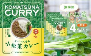 小松菜カレー 4個 加工食品 惣菜 レトルト 