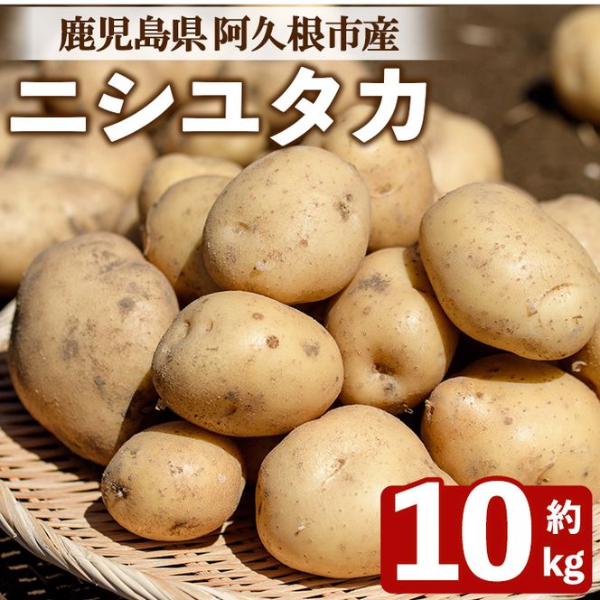 じゃがいも ニシユタカ(10kg) 国産 鹿児島県産 阿久根市産 じゃがいも ジャガイモ 芋 ポテト にしゆたか 野菜 期間限定 数量限定 ポテトサラダ コロッケ 常温 常温配送 【慶越農園】akn107-10
