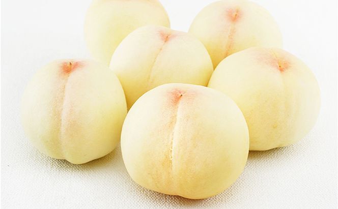 フルーツ 定期便 2026年 先行予約  晴れの国 岡山 の 旬の フルーツ 定期便 6回コース 白桃 ぶどう 梨 岡山県産 国産 フルーツ 果物 ギフト 