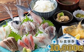 159-2051-03　めしや大磯港 お食事券 10,000円分【 神奈川県 大磯町 お食事券 食事券 】