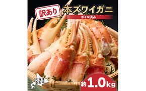 時期が選べる 訳あり 冷凍 ボイル ずわいがに 爪 1kg ズワイガニ 【 本ズワイガニ 不揃い 規格外 カニクリームコロッケ 蟹爪 ボイル済み むきやすい 定期便 3回 お届け ギフト 2026】