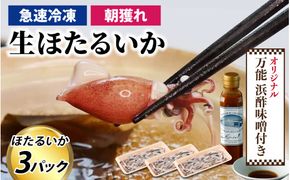 生ホタルイカ急速冷凍とオリジナル万能酢味噌付き【カネツル砂子商店】 [A-002012]