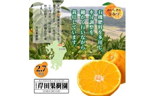 【先行予約】トンネルで貯蔵熟成/岸田果樹園の不知火 約2.7kg 令和7年2月下旬より出荷開始 _1439R