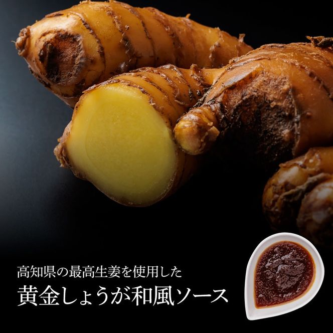 食べ比べ！完全天日塩仕込みハンバーグ3種各4個セット 田野屋青蜂 白鯆 完全天日塩 特製デミグラス 黄金しょうがソース付き 肉 お肉 おかず 惣菜 ジューシー おいしい 洋食 お取り寄せ 冷凍 配送 高知県 田野町