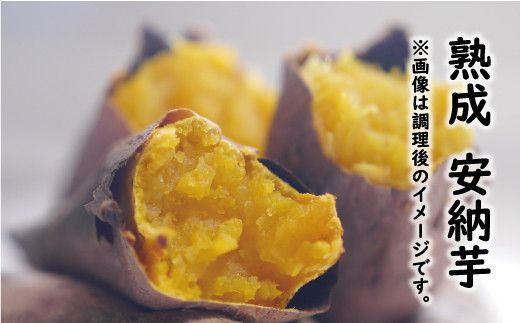 訳あり 熟成 さつまいも 食べ比べ 3種 セット 紅はるか 安納芋 シルクスイート 合計 15kg サイズ混合 サツマイモ 焼き芋 干し芋 丸干し 冷凍焼き芋 冷やし焼き芋 やきいも 蜜芋 ほしいも スイートポテト いも天 サイズミックス  甘い ねっとり 生芋 新芋 あんのういも 甘藷 べにはるか スイーツ 国産 糖度 産地直送 農家直送 数量限定 21000円 愛媛 愛南 ミッチーのおみかん畑