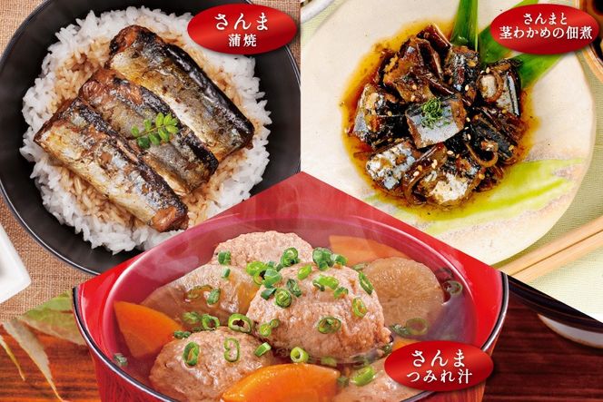 三陸食堂 煮魚 惣菜 セット 3種 9パック [阿部長商店 宮城県 気仙沼市 20565440] 簡単調理 レトルト 魚 レンジ 長期保存 魚料理 和食 常温保存 さんま 蒲焼 つみれ汁 和食 常温保存 個包装