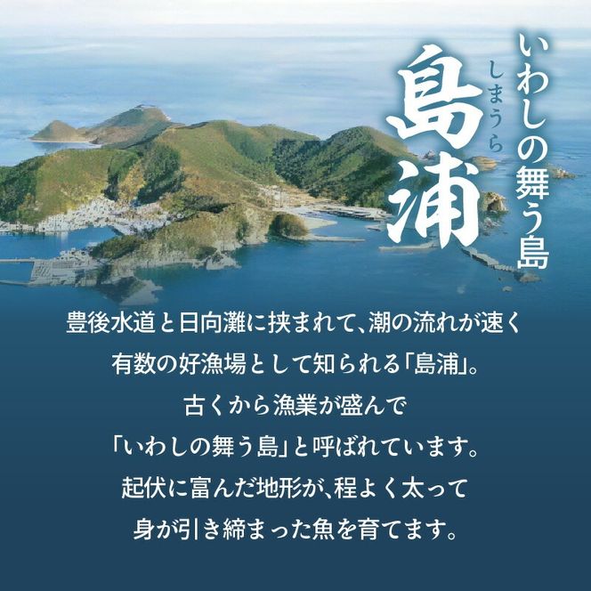 飼育期間中無投薬！しまうら真鯛「絶品一夜干しセット」 N0148-YA2236