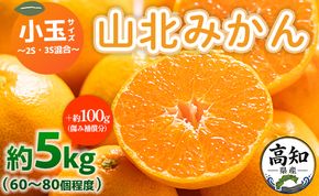 みかん 5kg ss 混合 山北みかん 小玉サイズ 2S・3S混合 約5kg（60～80個程度） 山北みらい - 果物 フルーツ 柑橘類 温州みかん ミカン yk-0078