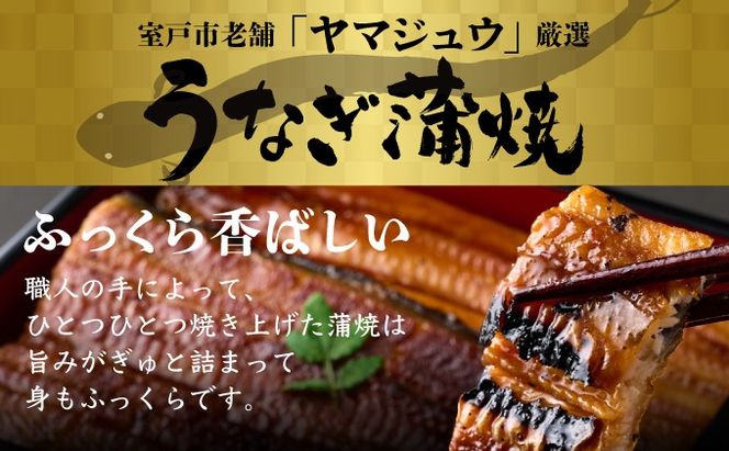 ヤマジュウ厳選！国産蒲焼き１尾【６回定期便】　yj044