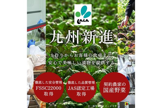 a568 《選べる内容量》九州産辛子高菜(1kg・4kg)【九州新進】姶良市 国産 九州産 たかな 漬物 漬け物 ご飯のお供 おかず おつまみ おにぎり 常温 常温保存