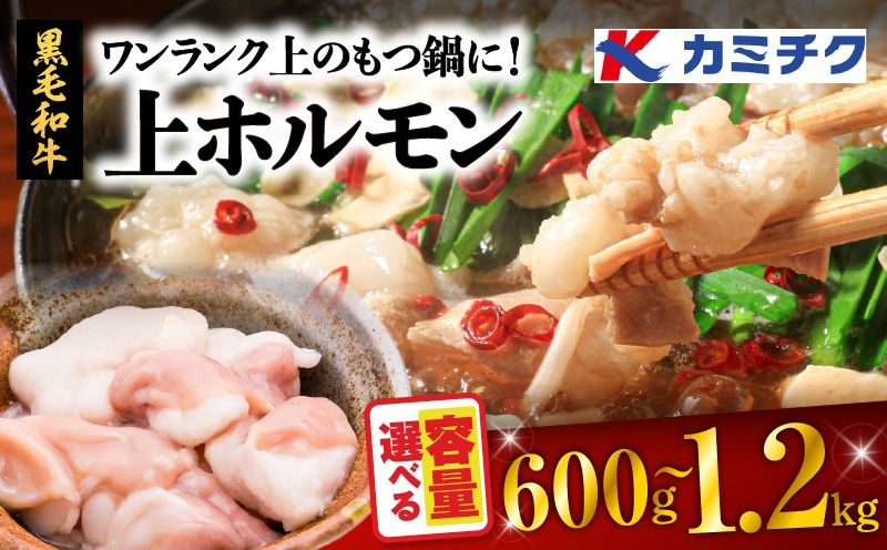 [容量選べる!]ワンランク上のもつ鍋に! 上ホルモン 600g or 1.2kg