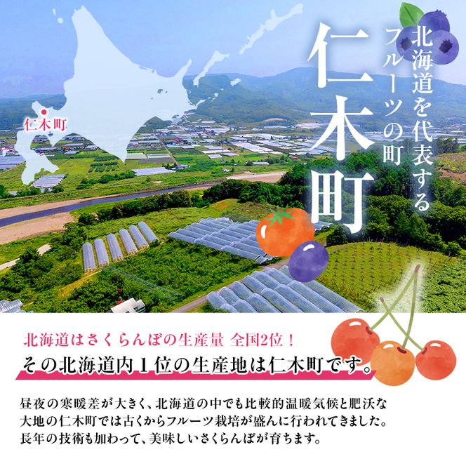 [先行受付] さくらんぼ  佐藤錦 さくらんぼ Lサイズ以上 300g（300g×1パック） 化粧箱入  サクランボ チェリー フルーツ 果物 果物類 ギフト 贈答品 北海道 仁木町 仁木 [小林信幸]