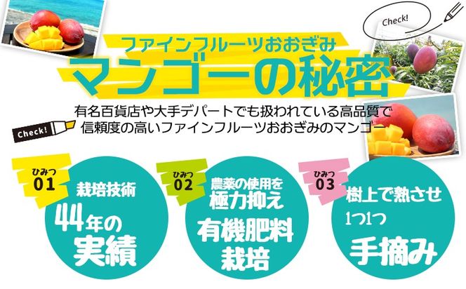 【2025年発送】農園一番人気の完熟アップルマンゴー秀品・2kg以上農園から直送！ 秀品 先行予約 沖縄 甘味 糖度 濃厚 美味しい お土産 おいしい ギフト とろける甘さ 香り アーウィン 果汁 高級 箱入り 化粧箱入り 見た目 きれい 綺麗