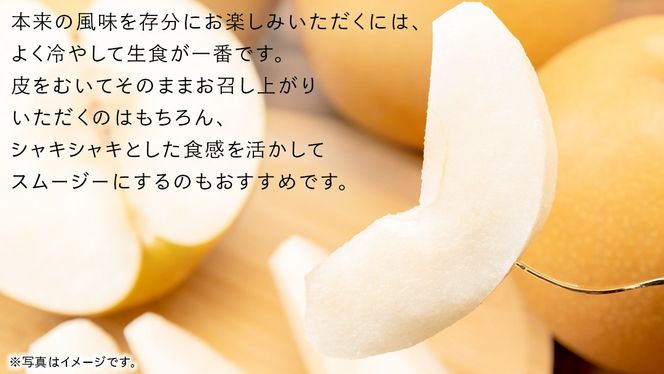＼ 選べる内容量 ／ にっこり 梨 3kg（4〜5玉）/ 5kg （7～10玉）/ 10kg （16～20玉）【2026年10月より発送開始】（茨城県共通返礼品 [梨]：大子町産） なし 旬 お取り寄せ フルーツ 甘い ジューシー 和梨 時期