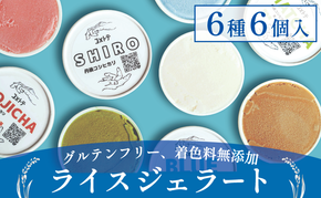 ライスジェラート 6個 セット(6種×1個) アイス ジェラート 詰め合わせ お米 こしひかり コシヒカリ ライスミルク スイーツ 低カロリー myz06 myz08 myz11 myz19 myz24 myz26