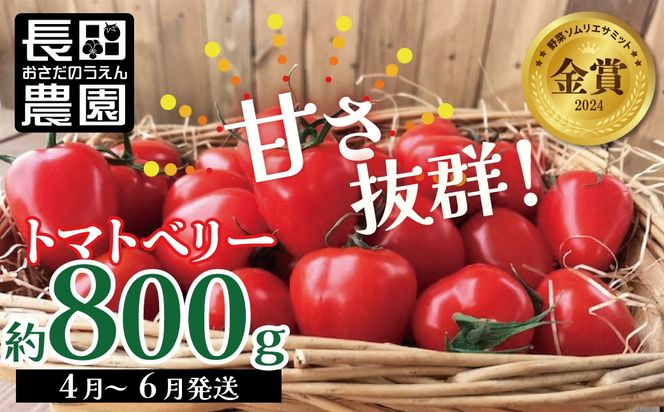 【2027年度予約分】【お試し】幻のミニトマト?トマトベリー約800g 長田農園 野菜ソムリエサミット 金賞 受賞 産地直送 トマト とまと 野菜 やさい フルーツ サラダ 濃厚 甘い ご褒美 プレゼント 美容 健康 リピート多数 人気 高評価 先行受付 数量限定 碧南市 H004-220