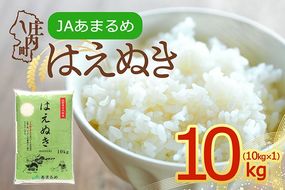 はえぬき 10kg 10kg×1袋 令和7年産 2025年産 山形県 庄内町産 余目産 ブランド米 米 JAあまるめ