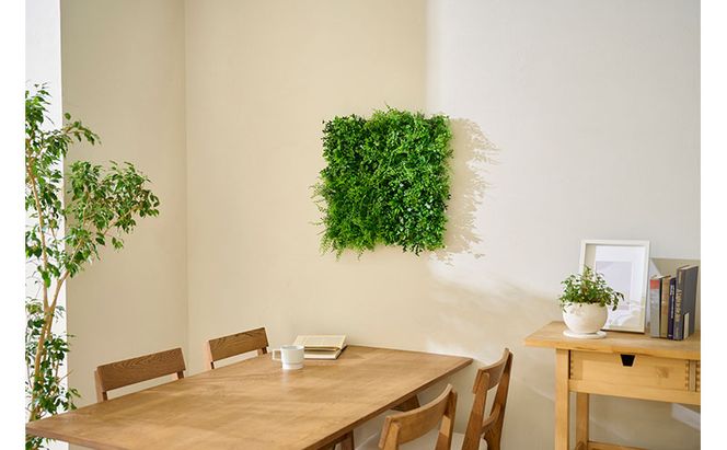 ＤＥＣＯ ＧＲＥＥＮ ウォールパネル WG-50A アジアンタム 3個セット フェイクグリーン 壁掛け  アイリスオーヤマ ウォールグリーン 25×25cm 正方形 インテリア おしゃれ 壁面緑化パネル 人工観葉植物