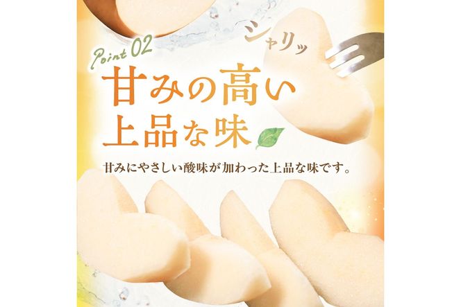 【先行予約／数量限定200】農家直送 秋の王様 「王秋」5kg（概ね7玉～12玉）（2026年11月上旬～発送）　DE00169