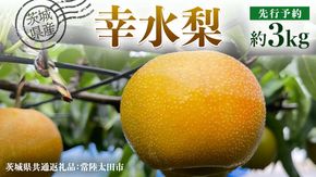 【 先行予約 】茨城県産 梨 幸水 約 3kg 7玉～9玉 ( 茨城県共通返礼品 : 常陸太田市 ) 【 2025年8月中旬発送予定】 フルーツ 果物 国産 日本産 梨 ナシ なし 和梨 桧山果樹園 期間限定 数量限定 [EN001us]