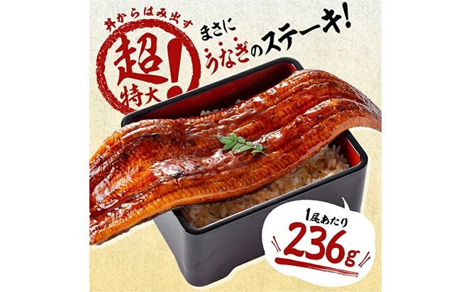 【数量限定】超特大！鹿児島県産 山田水産の霧島湧水鰻(計1400g以上・236g以上×6尾) c5-039