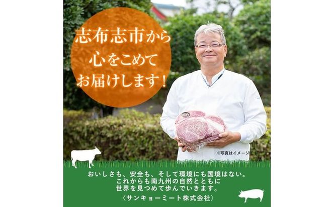 鹿児島県産黒毛和牛肩ロース焼肉用 (計600g・300g×2P) a4-114
