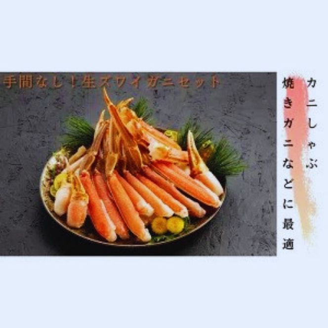 12-335 手間なし！極上生ずわいがにセット約900g(カット済み)

