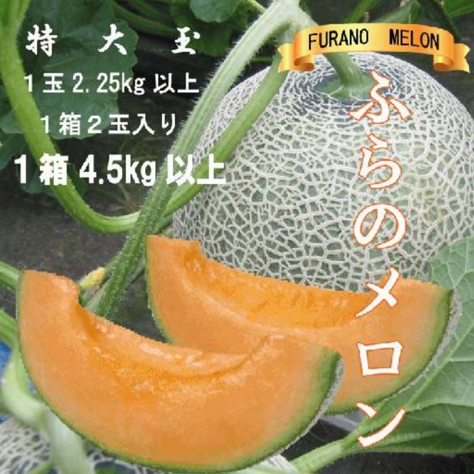 2026年夏発送【先行受付】 ふらのメロン 赤肉 特大玉2玉 計4.5kg以上 富良野メロン 赤肉 めろん 北海道 甘い 大きい 果物 フルーツ