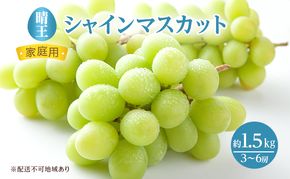 ぶどう 2026年 先行予約 ご家庭用 シャイン マスカット 晴王 3～6房 約1.5kg ブドウ 葡萄 岡山県産 国産 フルーツ 果物 大粒 高糖度 種なし 皮ごと 種無しぶどう 産地直送 
