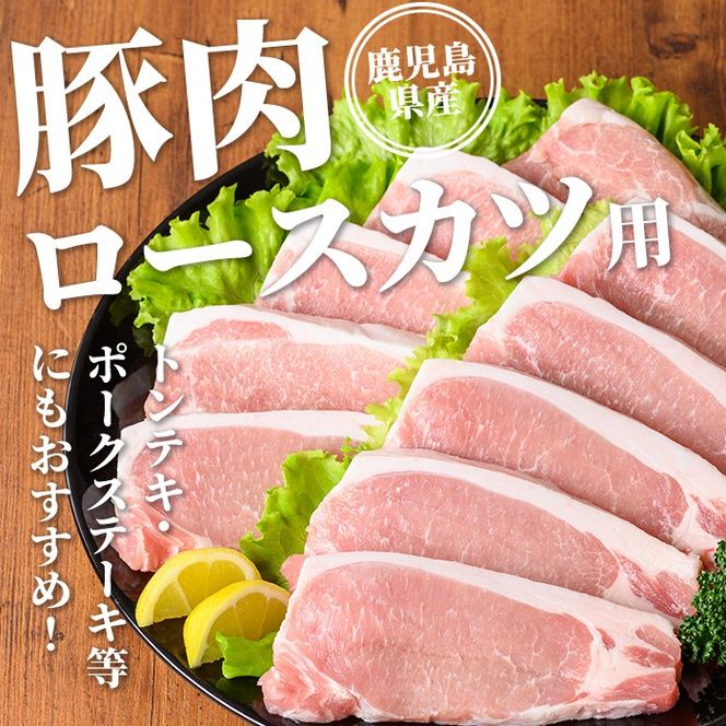 isa707 鹿児島県産 豚肉ロースカツ・ヒレカツ用セット(合計1.3kg) 鹿児島県産 豚 ブタ ぶた 豚肉 肉 ロース ヒレ ヒレカツ とんかつ ポークステーキ トンテキ 冷凍 【TRINITY】