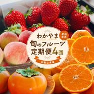 わかやま 旬の フルーツ 定期便 【L】全4回 / 有田みかん まりひめ いちご 桃 柿 ※北海道・沖縄・離島への配送不可【ard-tkb911】