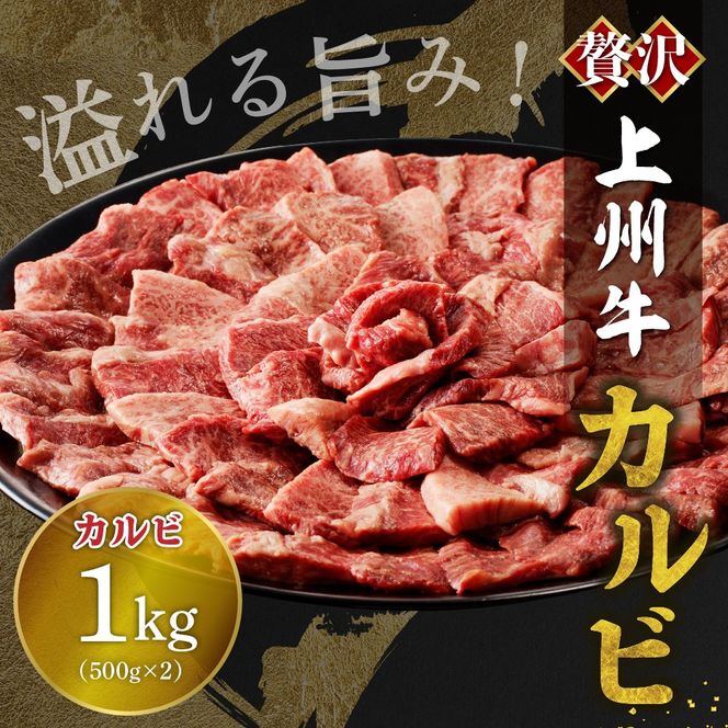 牛肉 カルビ 【上州牛】 1.0kg（500g×2パック）   群馬県 千代田町 国産 牛肉 ブランド牛 精肉 肉 お肉 焼肉 バーベキュー BBQ キャンプ アウトドア 食品 冷凍便 グルメ お取り寄せ グルメ 送料無料