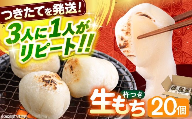 築上町産 本格 杵つき 生もち 20個 (10個×2パック)《築上町》【アルク農業サービス合同会社】 餅 お餅 もち[ABAB007]