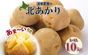 【 2026年 発送 】 先行予約 北海道産 道塚農園 じゃがいも 北あかり 計10kg前後 L-LLサイズ ジャガイモ きたあかり キタアカリ 馬鈴薯 芋 いも イモ 農作物 野菜 産地直送 